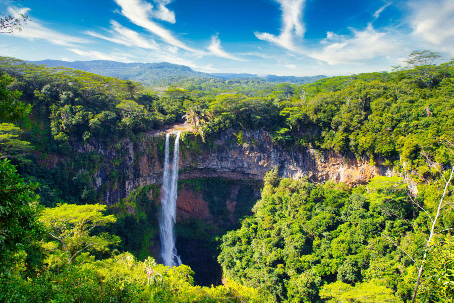 mauricias-22_4.jpg
