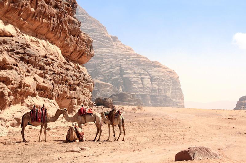 aventuras-de-wadi-rum-e-mar-morto-7558_6.jpg