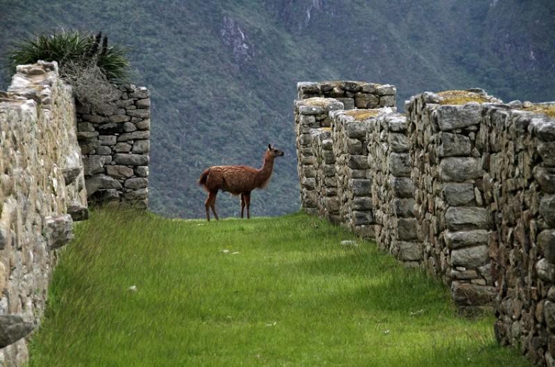 contrastes-do-peru-5893_2.jpg