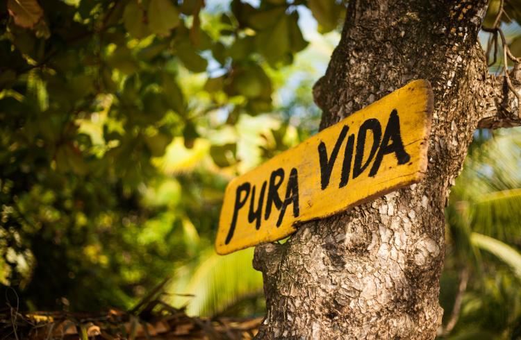 pura-vida-c-guanacaste-fly-drive-5532_0.jpg
