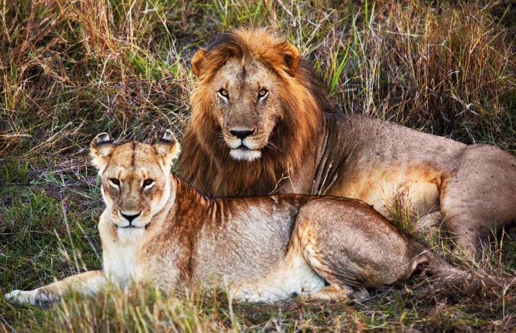 rumo-a-manyara-maldivas-5574_0.jpg