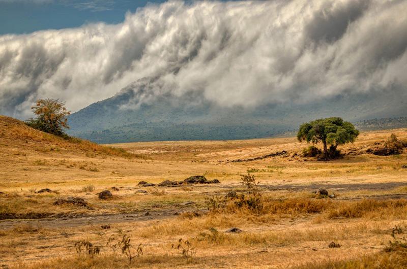 safari-essencias-da-tanzania-maldivas-5328_2.jpg