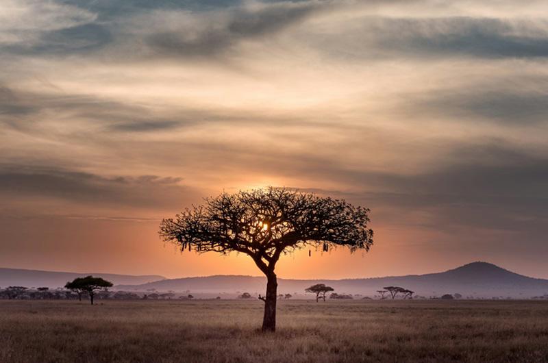 safari-essencias-da-tanzania-maldivas-5328_5.jpg