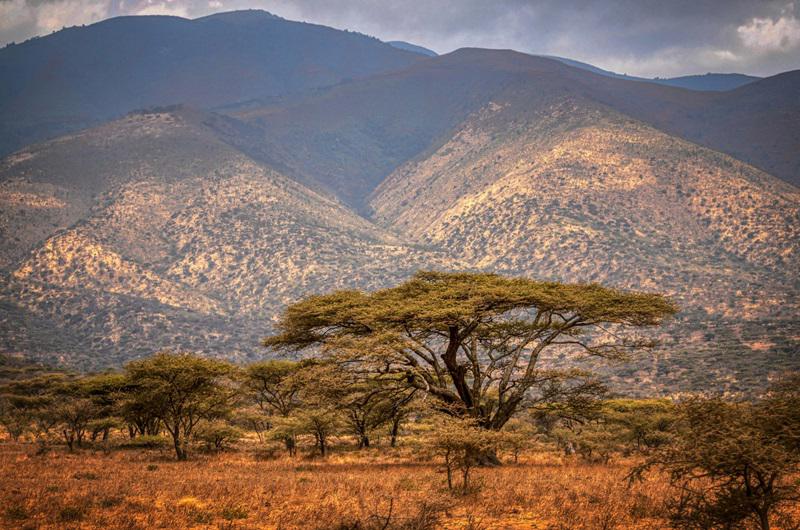 safari-essencias-da-tanzania-mauricia-5327_3.jpg