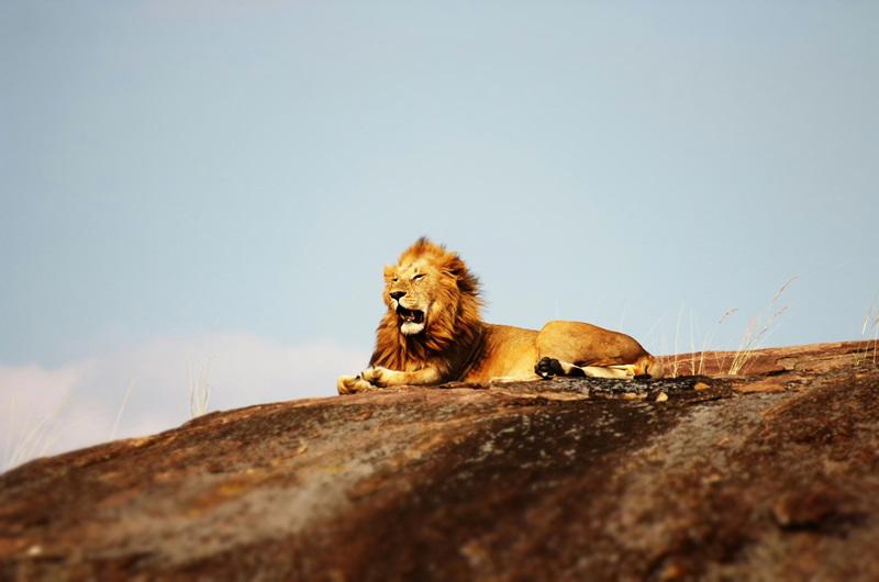 safari-essencias-da-tanzania-mauricia-5327_4.jpg