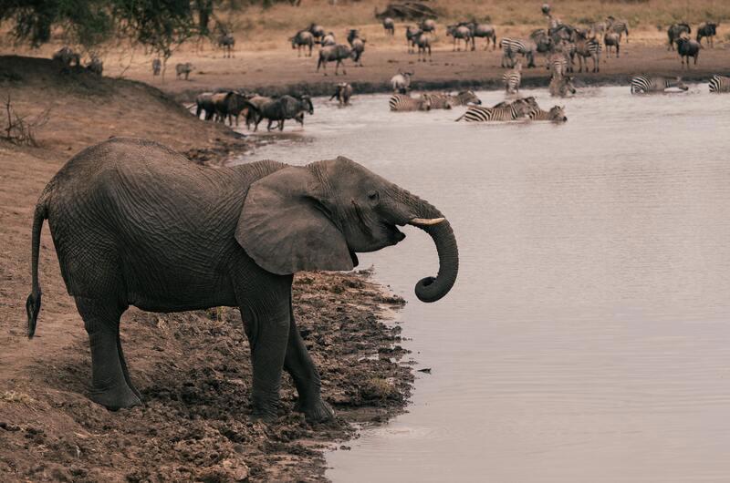 safari-essencias-da-tanzania-zanzibar-5326_7.jpg