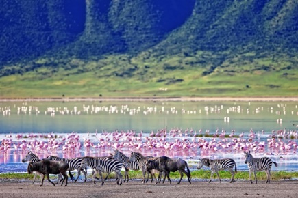 safari-ngorongoro-privado-1692_0.jpg