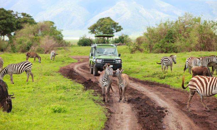 safari-planicies-da-tanzania-1480_3.jpg