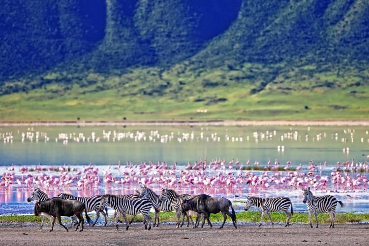 safari-terras-da-tanzania-privado-1852_0.jpg
