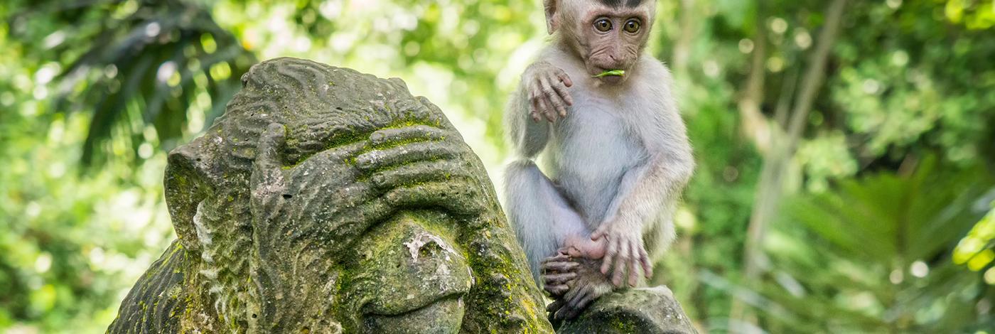 bali-e-gili-trawangan-930_1.png