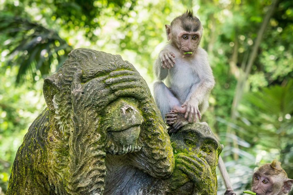 bali-natureza-mistica-14_0.png