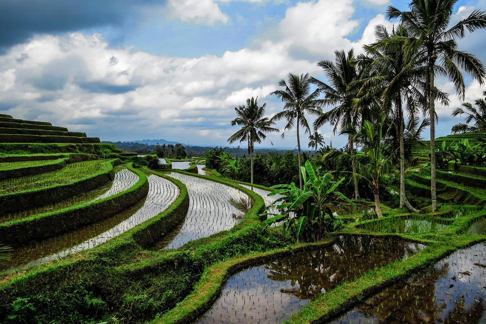 bali-natureza-mistica-14_2.png