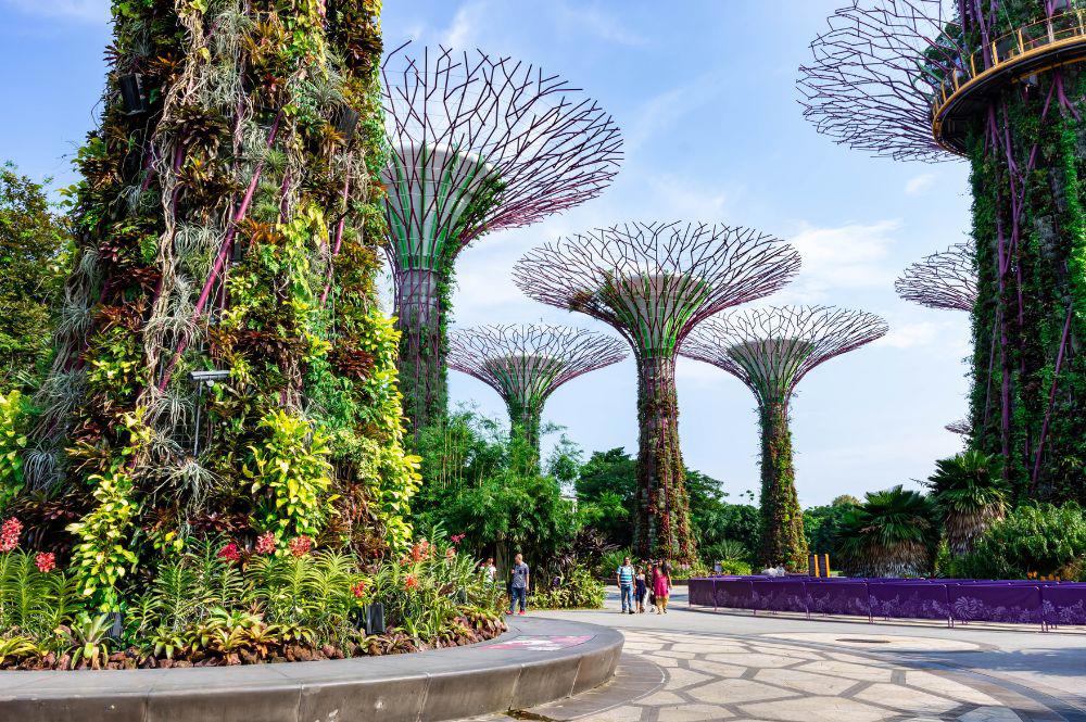 singapura-e-phuket-1262_4.jpg